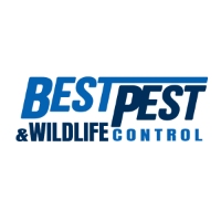 Exterminator Best Pest & Wildlife Control in Mission Viejo CA